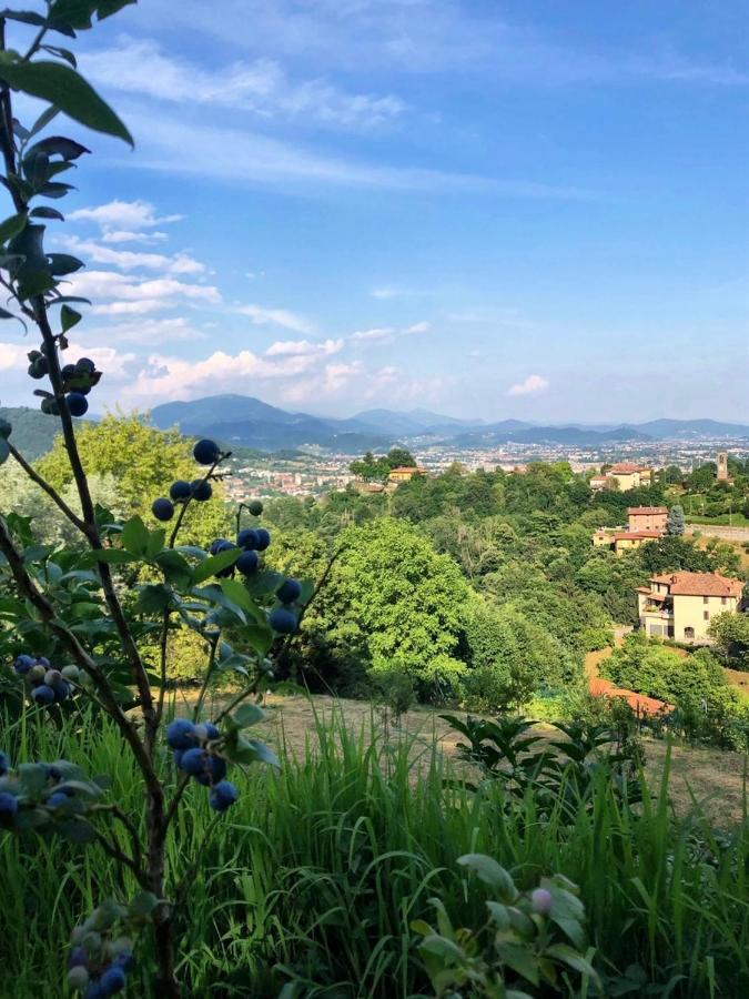 Foresteria Antica Bastia Bed & Breakfast